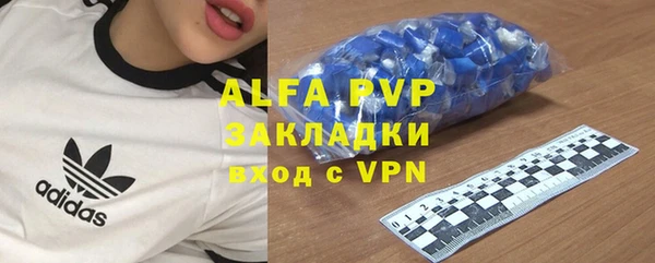 ГАЛЛЮЦИНОГЕННЫЕ ГРИБЫ Белоозёрский