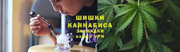 ГАЛЛЮЦИНОГЕННЫЕ ГРИБЫ Белоозёрский