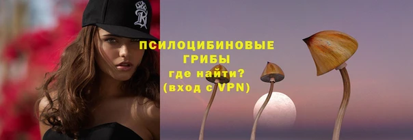 ГАЛЛЮЦИНОГЕННЫЕ ГРИБЫ Белоозёрский