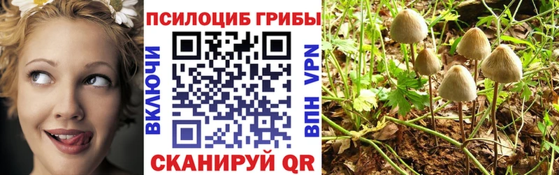 где найти наркотики  Щёлково  Галлюциногенные грибы мицелий 